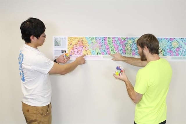 3D Molecular Designs Tour of a Human Cell© (Panorama)