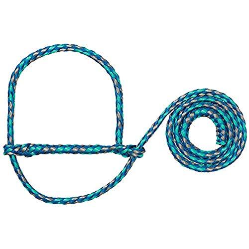 Weaver Pecuária Poly corda ovelha Halter - 35-7840-S23, tamanho único, azul/Mint/cinzento