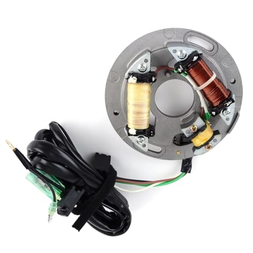 Bobine de stator d'allumage haute isolation pour motos FX et VX