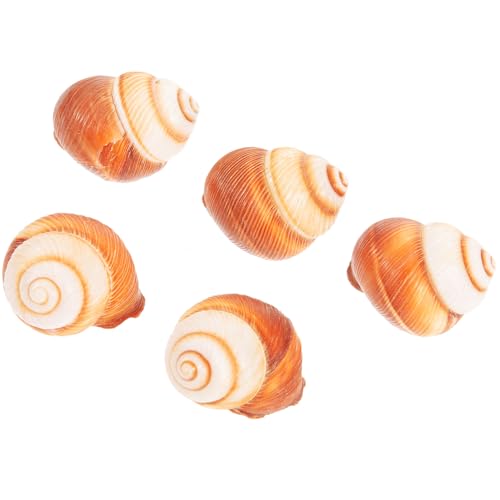 SUPVOX 5 Piezas Conchas Naturales de Caracol para Escargot con Aislamiento Térmico Seguras y Prácticas para Hornear Caracoles al Estilo Francés