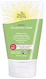 Baby Mineral Sunscreen Lotion SPF 40 by Earth Mama | Reef Safe, Non-Nano Zinc, Contains Organic Red Raspberry Seed Oil, Shea Butter & Calendula, 3-Ounce