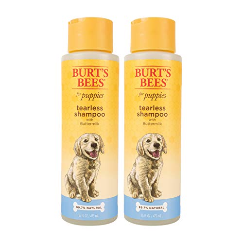 Burt's Bees for Puppies Natural & Gentle Tearless Shampoo | Made with Buttermilk & Honey | Best Tearless Puppy Shampoo for Gentle Skin and Coat | pH Balanced for Dogs - Made in USA, 16 Oz, Pack of 2