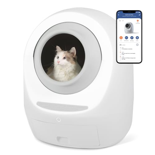 10 Best Automatic SelfCleaning Litter Boxes for Happy Cat