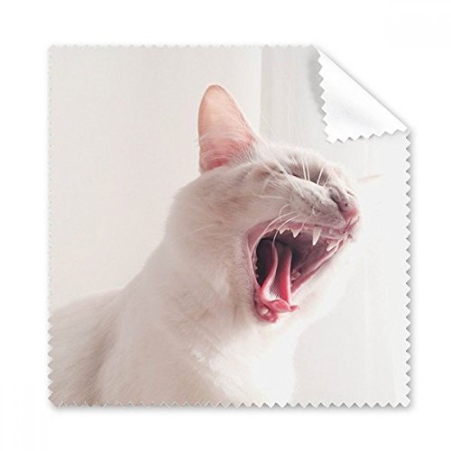 Chiffon de nettoyage pour lunettes idée cadeau motif chat blanc féroce
