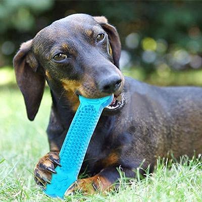 RvPaws Non-Toxic Rubber Dog Chew Toy Puppy/Dog Teething Toy Medium Size (Soft Interactive Jelly Bone Toy) (B09JGBWZ82) Amazon Price History, Amazon Price Tracker