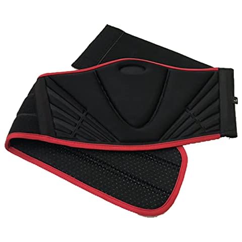 MotorBike Kidney Protection Belts Waist Belts (Large) Cover