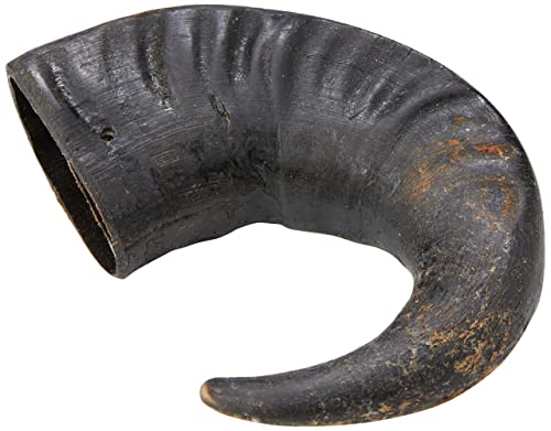 Hollings Buffalo Horn Jumbo Dog Treat, 100% Natural Grain Free Chew Treat for Adult Dogs, High in Protein and Naturally Low in Fat (1 Pack)