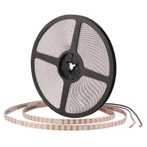 JBdusn Ruban LED 24 V, 8 mm, découpable flexible, 6 500 K, bande LED intérieure 120 LEDs/m, adhésif SMD 2835 (sans source d'alimentation)