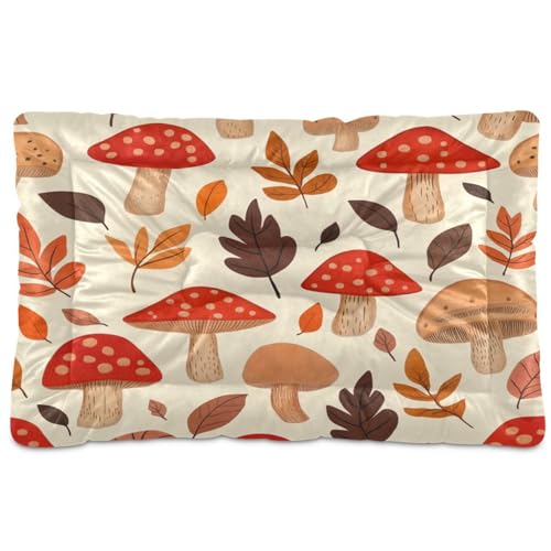 Camas Perros Grandes Marca Ewusp