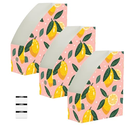 Classeurs pliables pour trier le papier grand format organiseur bureau 6x