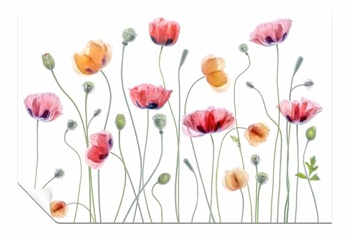 Poster Papaver Party sans cadre déco murale salon chambre 46x31 cm