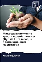 Микроразмножение трост&# 620539040X Book Cover