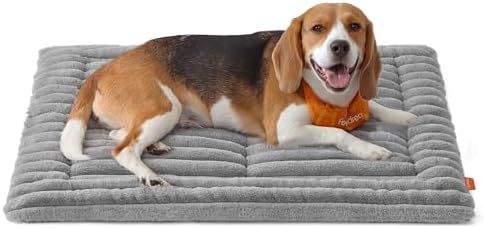 FEANDREA Hundedecke für Hunde, Katzen, L, 90 x 65 cm, maschinenwaschbar | Haustierdecke für Hundesofa, Hundesofa-Schutzdecke, Schiefergrau, BADDI Kollektion PPB043GD01
