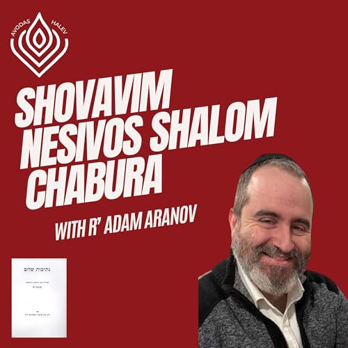 Shovavim Daily Nesivos Shalom cover art