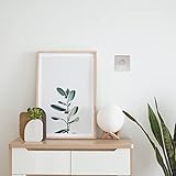 JANDEI B0791KQ29X lato 4