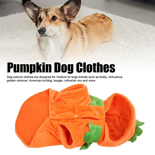 Mascotas, Pet Products Imagen adicional