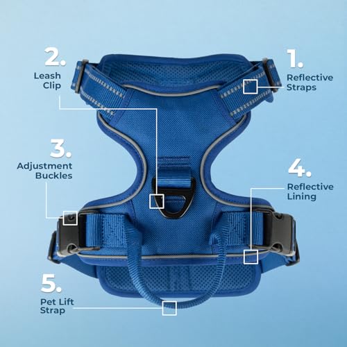 Image of Voyager Dog Harness Dual Leash Attachment No-Pull Control Adjustable Soft but Strong Pet Harness for Medium and Large Dogs with 3M Reflective Technology, Leash Set Royal Nylon, XS (Chest: 13-16 inch)