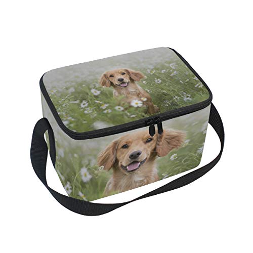 Hengpai Brown Golden Retriever Green Plants White Flowers Animals Lunch Box Insulated Lunch Bag Large Cooler Tote Bag for Kids Women Men
