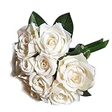 Usos: bien hecho, colorido, adecuado para decoraciones de bodas, hogar, exteriores y vacaciones. Use estas flores artificiales para bodas, duchas, fiestas, etc. Haz bricolaje en tu casa, agrega un toque de color y romance a tu hogar con estas hermosas hojas de parra ...