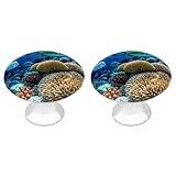 FHESDCW 2 Pack Stainless Steel...