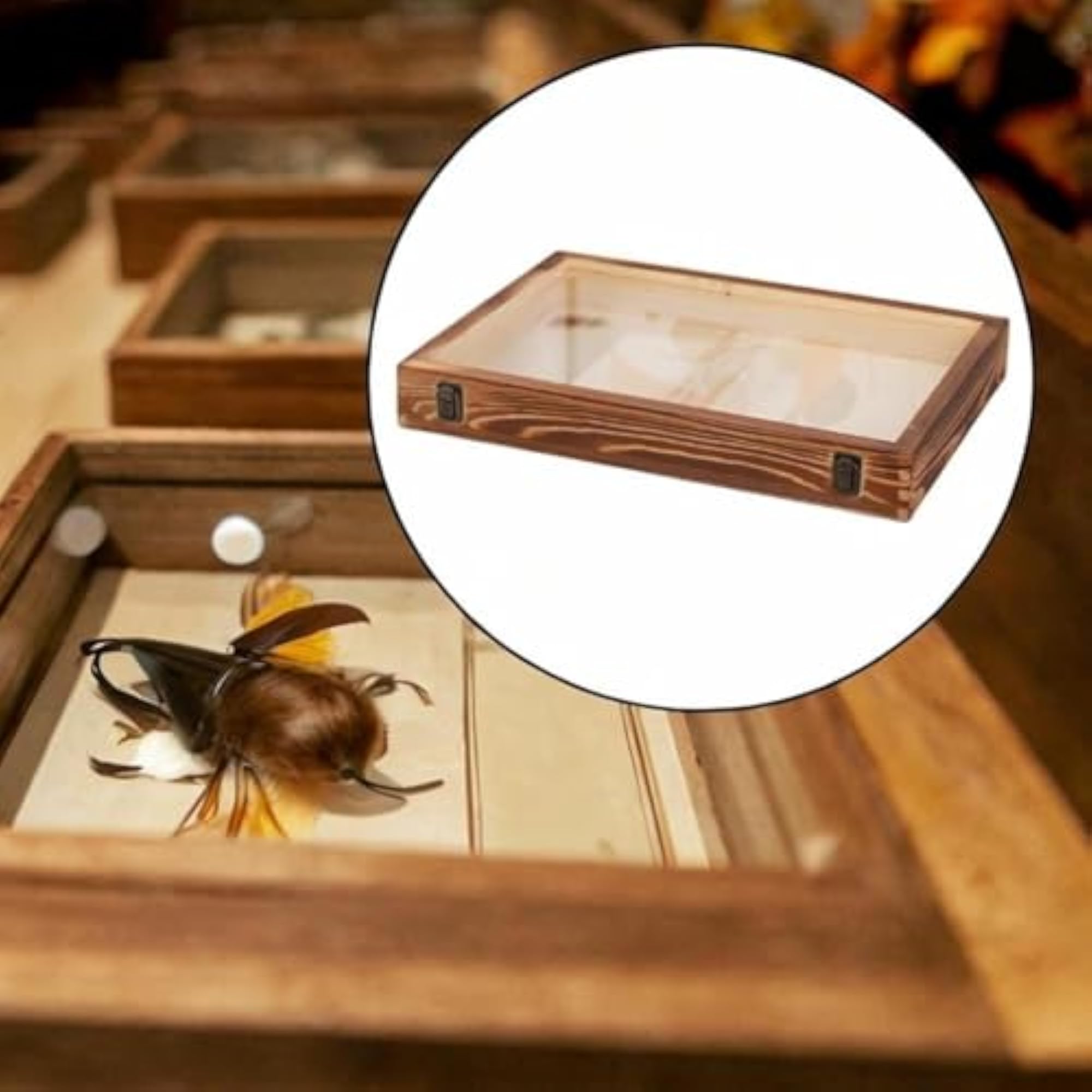 Shadow Box Frame DIY Wall Decor Wooden