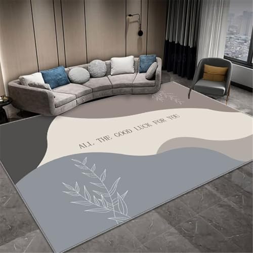 Tapis anti-salissure résistant pour protéger le sol du salon
