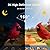 Smart Bird Feeder with Camera Outdoor Birdhouse: AI Identifies 11000+ Species, 2K HD with Arrival Alerts, Dual Squirrel-Proof, Blue-Orange Design, Solar Powered, Gifts for Bird Lovers mom dad