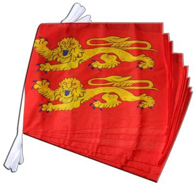 Guirlande France Basse Normandie Digni de 8,9 m avec drapeaux