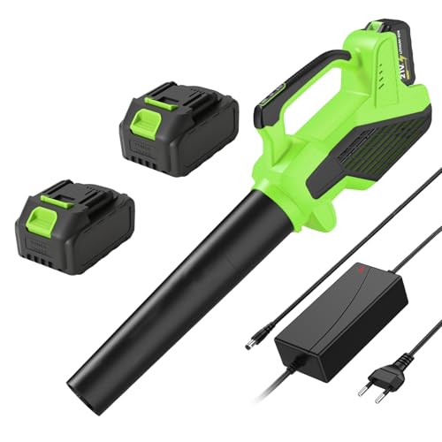 Souffleur de Feuilles, Souffleur Batterie avec 6 Vitesses, Débit d’air de 980 m³/h, 15000 TR/Min, Souffleur Feuille avec 2x4000 mAh Batterie pour Jardin Cour Pelouse