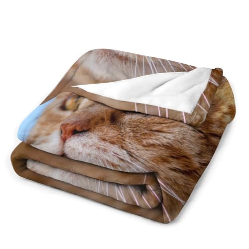 Couverture polaire chat orange pour vos soirées cocooning sur le canapé - 4