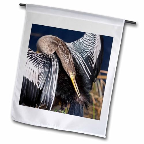USA, Florida, Everglades NP. Anhinga preens while drying feathers. 12 x 18 inch Garden Flag