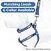 Pawtitas Reflective Step-in Dog Harness – Adjustable No-Pull Vest for Puppies to Seniors, Safe & Comfortable, S Blue