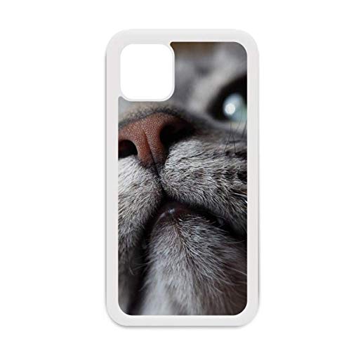 Coque iPhone 12 Pro Max avec photo de chat curieux pour illuminer vos journées de douceur