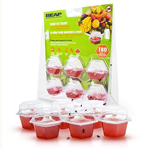 List of Top Ten Best Fruit Fly Bomb Top Picks 2023 Reviews