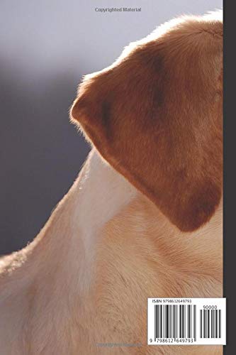 Labrador Notebook: Cool Labrador notebook - Travel Journal to write in - 120 pages - 6"x9", White - Image 2