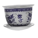 NUOBESTY Keramik Sukkulententopf mit Ablageschale Kleiner Blumentopf für...