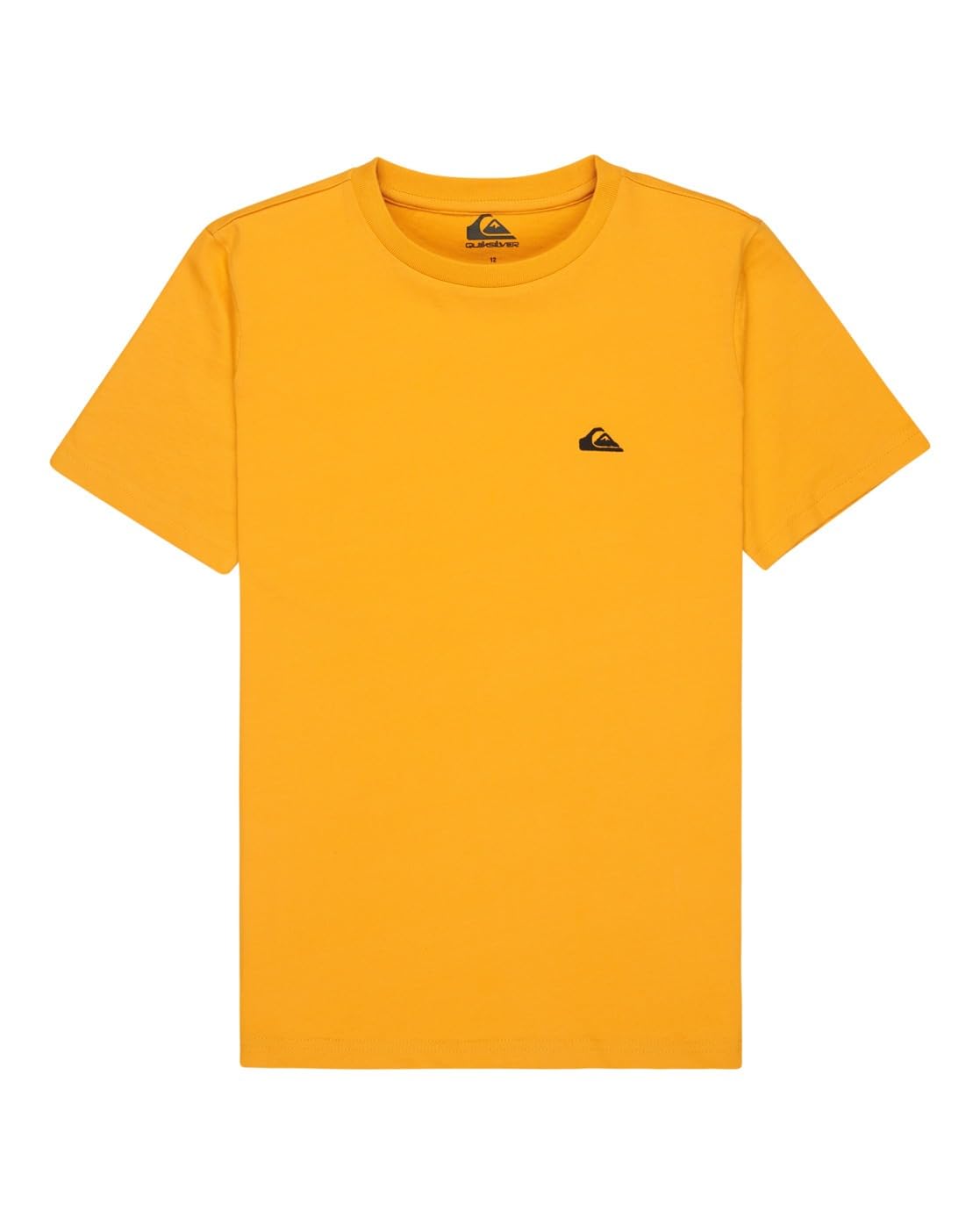 Quiksilver Boy's Basic Ss Tee Youth T-Shirt, Mineral Yellow, 14 Years