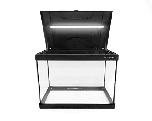 Haquoss, Evolution 40 Acquario 40X25X34H cm, 21 Litri, con Luce a LED 4 Watt, Versione Luxury, Completamente Accessoriato - Image 4