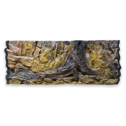 Terrarium Rckwand Zum Klettern