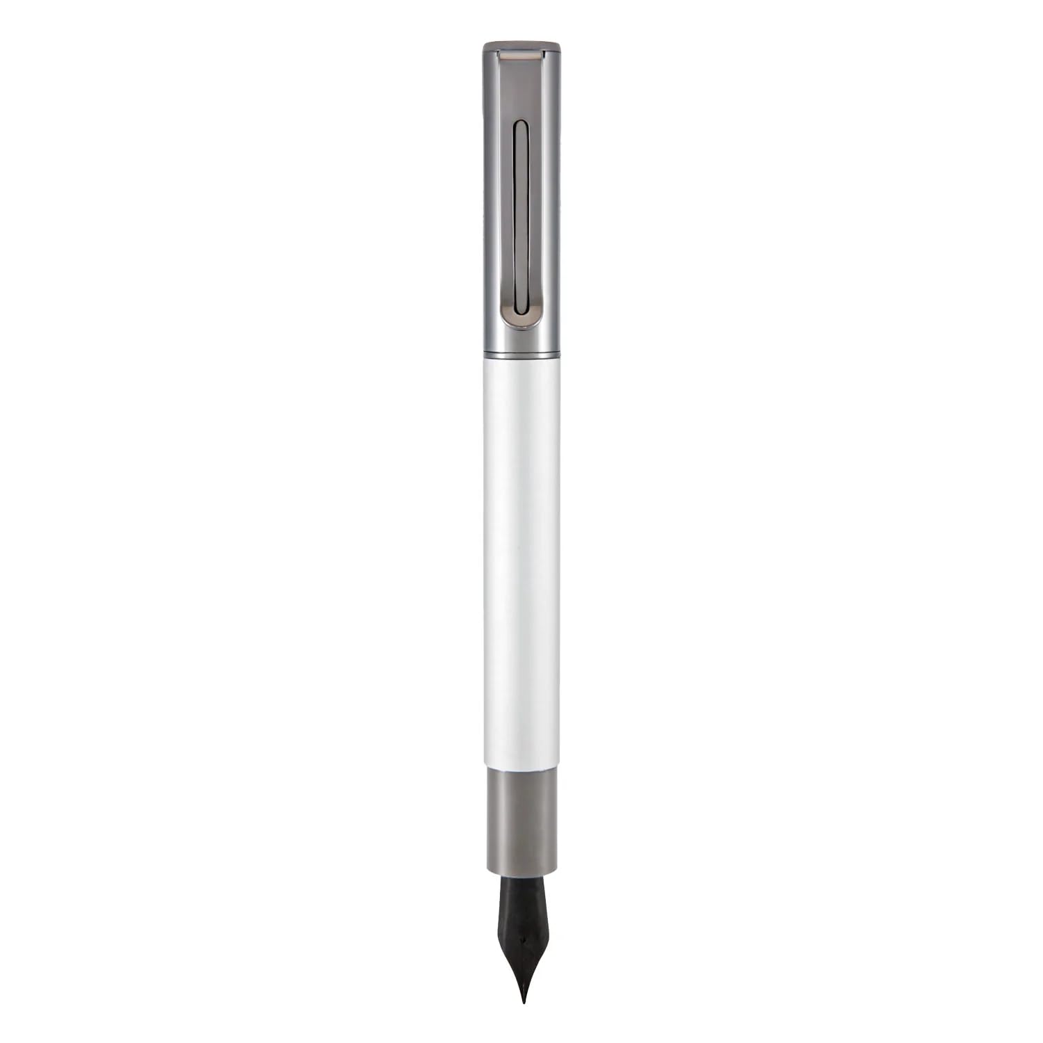 Monteverde USA Ritma Fountain Pen in Silver – Omniflex Nib, Flexible JoWo Stainless Steel, Refillable Ink Cartridge/Converter – Ideal for Calligraphy & Artistic Expression
