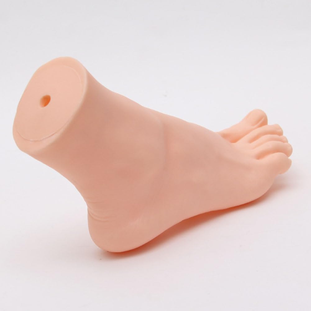 Lifelike Manikin Feet PVC Foot Lifesize male Mannequin Foot Model for Painting Teaching Arts Drawing Sketching Jewelry Display -Right Foot,24.5cm - Image 3