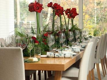 Floral Kingdom Real Touch 30' Xlarge Artificial Amaryllis Flowers For Vase Arrangements, Home/Office Decor (Pack Of 3) (Red) #TOP5