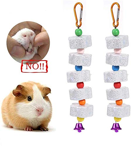 EPRHAY Pet Snacks Chew Toys 2 Pcs Natural Molar Snacks String Toys Teeth Grinding Sticks Pet Molar String For Guinea Pigs Chinchilla Squirrel Rabbits Parrot Hamster Degus Gerbil(Rock)