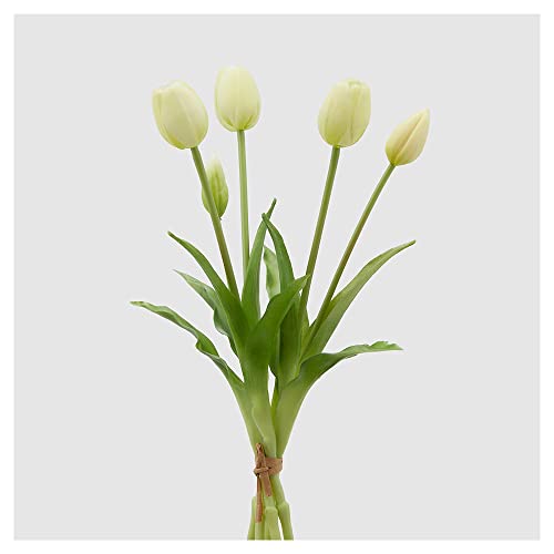 EDG Enzo de Gasperi Tulipano gommoso fiore