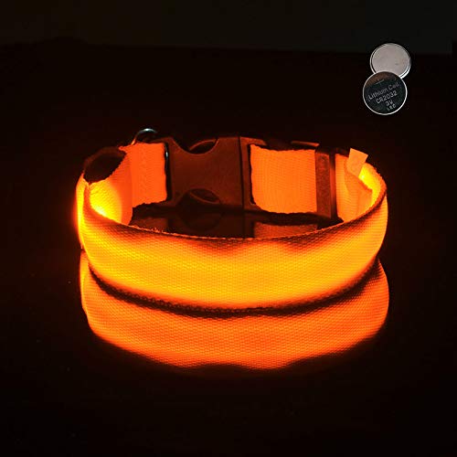 LYLEQ Sicherheitshalsband mit LED-Batterie und wasserdichtem Blitzlicht Cover