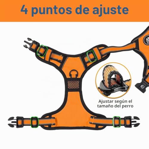 Miniatura 3 de Nestroad Arnes Tipo Chaleco Chulos Para Perros, Cinturon De Perro Coche Antitirones, Perros Accesorios Básicos S Cuello 28 38cm Pecho 38 53cm, Naranja
