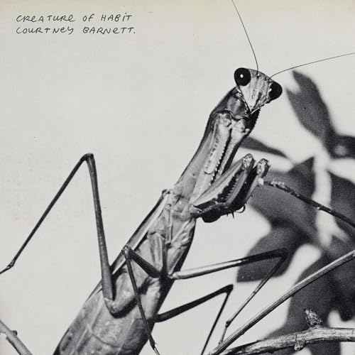 Courtney Barnett Previews 'Creature of Habit' (Listening Party)