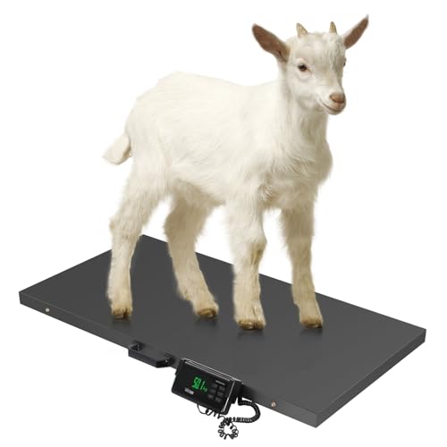 TUFFIOM 1100Lbs x 0.2Lbs Postal Digital Shipping Livestock Scale, Electronic Stainless Steel Platform Heavy Duty Vet Animal Floor Scale,Dog Puppy Pig Goat Sheep Scale, Black