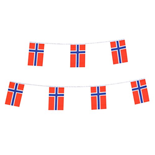 TSMD Norway Flag, 100 Feet Norwegian Nordmann Flag National Country World Pennant Flags Banner,International Party Decorations for Grand Opening,Olympics,Bar,School Sports Events,Festival Celebration