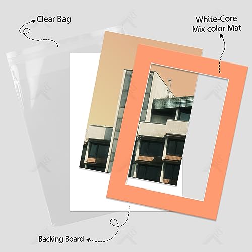 Golden State Art, Pack of 50 Mix Pre-Cut 5x7 Picture Mat for 4x6 Photo with White Core Bevel Cut Mattes Sets. Includes 50 High Premier Acid Free Bevel Cut Matts & 50 Backing Board & 50 Clear Bags